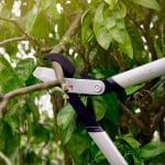 Troncarami Fiskars PowerGear Bypass LX92 taglio legno fresco fino a 38 mm - immagine 2