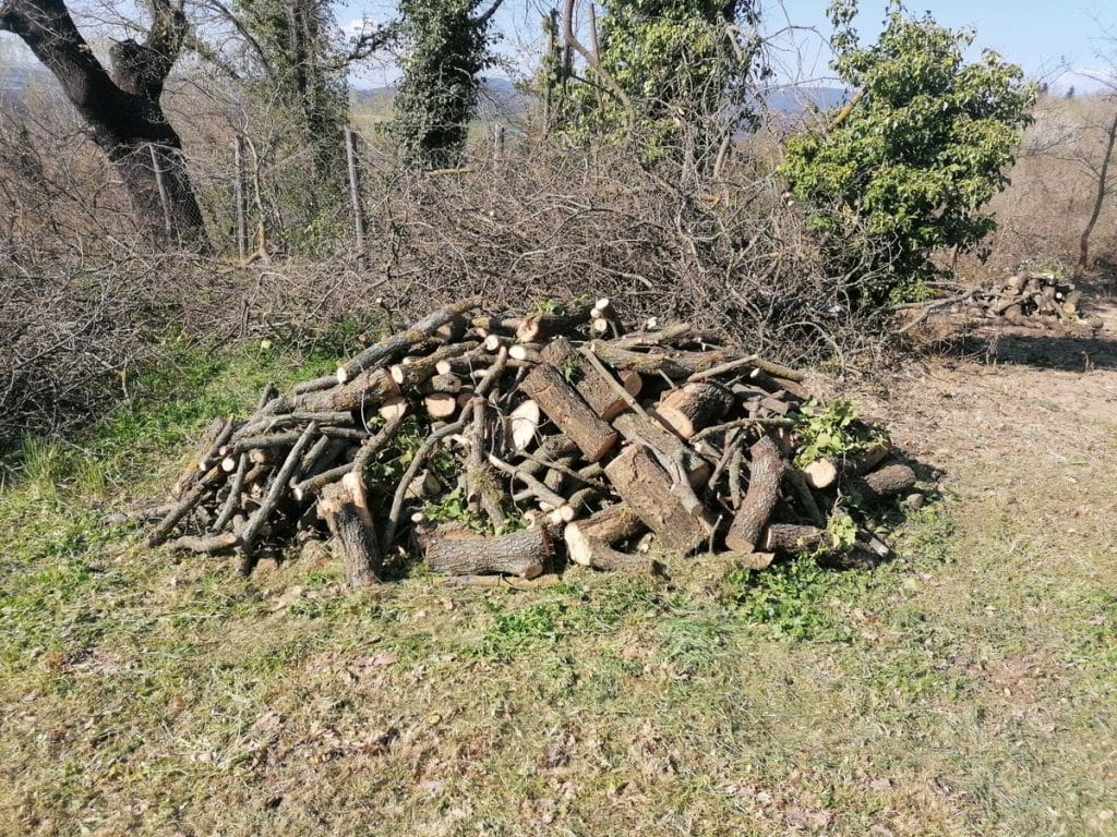 Recensioni su Boschi e Giardini 2 Immagine #2 da Francesco