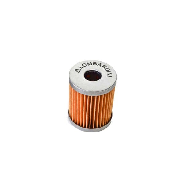 Filtro nafta 6LD400 con rete metallica