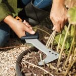 Falce Fiskars a uncino CL501 con fodero in nylon incluso - immagine 3